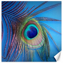 Nature Bird Wing Texture Animal Male Wildlife Decoration Pattern Line Green Color Blue Colorful Canvas 16  X 16  by Vaneshart