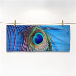 Nature Bird Wing Texture Animal Male Wildlife Decoration Pattern Line Green Color Blue Colorful Hand Towel Front