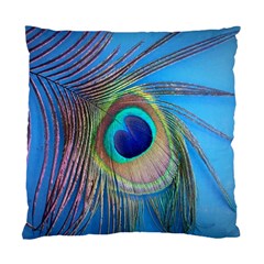 Nature Bird Wing Texture Animal Male Wildlife Decoration Pattern Line Green Color Blue Colorful Standard Cushion Case (one Side) by Vaneshart