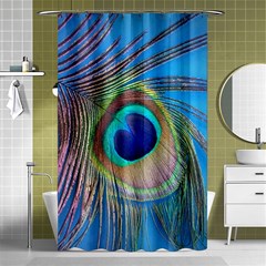 Nature Bird Wing Texture Animal Male Wildlife Decoration Pattern Line Green Color Blue Colorful Shower Curtain 48  X 72  (small)  by Vaneshart