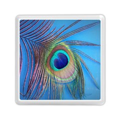 Nature Bird Wing Texture Animal Male Wildlife Decoration Pattern Line Green Color Blue Colorful Memory Card Reader (square) by Vaneshart