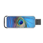 Nature Bird Wing Texture Animal Male Wildlife Decoration Pattern Line Green Color Blue Colorful Portable USB Flash (Two Sides) Front