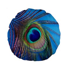 Nature Bird Wing Texture Animal Male Wildlife Decoration Pattern Line Green Color Blue Colorful Standard 15  Premium Round Cushions