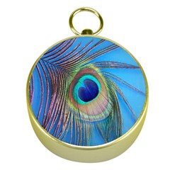 Nature Bird Wing Texture Animal Male Wildlife Decoration Pattern Line Green Color Blue Colorful Gold Compasses by Vaneshart