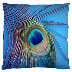 Nature Bird Wing Texture Animal Male Wildlife Decoration Pattern Line Green Color Blue Colorful Large Flano Cushion Case (one Side) by Vaneshart