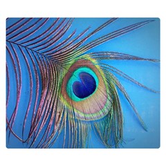 Nature Bird Wing Texture Animal Male Wildlife Decoration Pattern Line Green Color Blue Colorful Double Sided Flano Blanket (small)  by Vaneshart