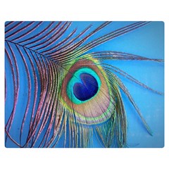 Nature Bird Wing Texture Animal Male Wildlife Decoration Pattern Line Green Color Blue Colorful Double Sided Flano Blanket (medium)  by Vaneshart