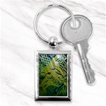 Laptop Computer Technology Leaf Line Green Biology Communication Electronics Illustration Informatio Key Chain (Rectangle) Front