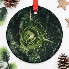 Plant Leaf Flower Green Produce Vegetable Botany Flora Cabbage Macro Photography Flowering Plant Ornament (round) by Vaneshart