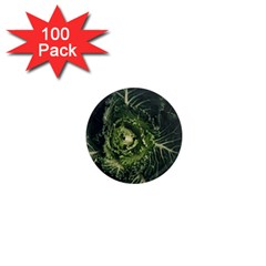 Plant Leaf Flower Green Produce Vegetable Botany Flora Cabbage Macro Photography Flowering Plant 1  Mini Magnets (100 Pack)  by Vaneshart