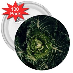 Plant Leaf Flower Green Produce Vegetable Botany Flora Cabbage Macro Photography Flowering Plant 3  Buttons (100 Pack)  by Vaneshart