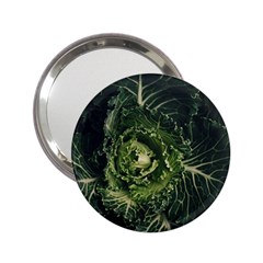 Plant Leaf Flower Green Produce Vegetable Botany Flora Cabbage Macro Photography Flowering Plant 2 25  Handbag Mirrors by Vaneshart