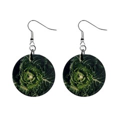 Plant Leaf Flower Green Produce Vegetable Botany Flora Cabbage Macro Photography Flowering Plant Mini Button Earrings by Vaneshart