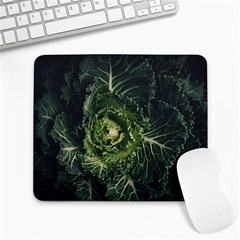 Plant Leaf Flower Green Produce Vegetable Botany Flora Cabbage Macro Photography Flowering Plant Large Mousepads by Vaneshart