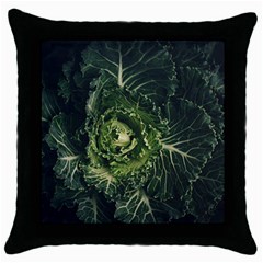 Plant Leaf Flower Green Produce Vegetable Botany Flora Cabbage Macro Photography Flowering Plant Throw Pillow Case (black) by Vaneshart