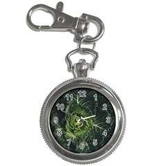 Plant Leaf Flower Green Produce Vegetable Botany Flora Cabbage Macro Photography Flowering Plant Key Chain Watches by Vaneshart