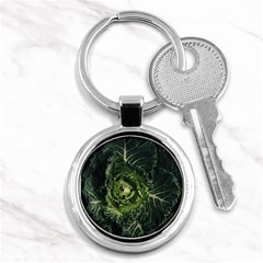 Plant Leaf Flower Green Produce Vegetable Botany Flora Cabbage Macro Photography Flowering Plant Key Chain (round) by Vaneshart