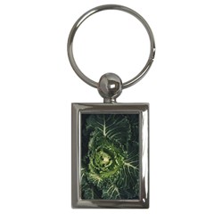 Plant Leaf Flower Green Produce Vegetable Botany Flora Cabbage Macro Photography Flowering Plant Key Chain (rectangle) by Vaneshart