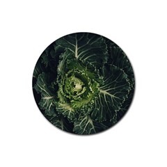 Plant Leaf Flower Green Produce Vegetable Botany Flora Cabbage Macro Photography Flowering Plant Rubber Coaster (round)  by Vaneshart