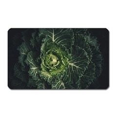 Plant Leaf Flower Green Produce Vegetable Botany Flora Cabbage Macro Photography Flowering Plant Magnet (rectangular) by Vaneshart