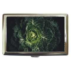 Plant Leaf Flower Green Produce Vegetable Botany Flora Cabbage Macro Photography Flowering Plant Cigarette Money Case by Vaneshart