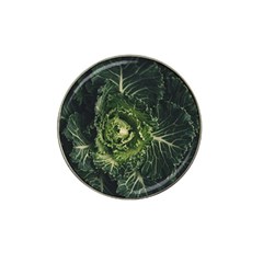 Plant Leaf Flower Green Produce Vegetable Botany Flora Cabbage Macro Photography Flowering Plant Hat Clip Ball Marker (4 Pack) by Vaneshart