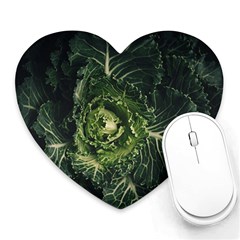 Plant Leaf Flower Green Produce Vegetable Botany Flora Cabbage Macro Photography Flowering Plant Heart Mousepads by Vaneshart