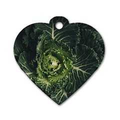 Plant Leaf Flower Green Produce Vegetable Botany Flora Cabbage Macro Photography Flowering Plant Dog Tag Heart (one Side) by Vaneshart