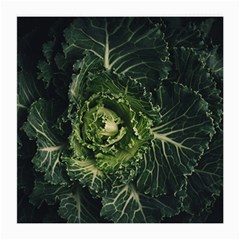 Plant Leaf Flower Green Produce Vegetable Botany Flora Cabbage Macro Photography Flowering Plant Medium Glasses Cloth by Vaneshart