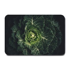 Plant Leaf Flower Green Produce Vegetable Botany Flora Cabbage Macro Photography Flowering Plant Plate Mats by Vaneshart