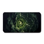 Plant Leaf Flower Green Produce Vegetable Botany Flora Cabbage Macro Photography Flowering Plant Medium Bar Mats 16 x8.5  Bar Mat