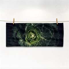 Plant Leaf Flower Green Produce Vegetable Botany Flora Cabbage Macro Photography Flowering Plant Hand Towel by Vaneshart