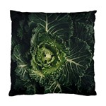 Plant Leaf Flower Green Produce Vegetable Botany Flora Cabbage Macro Photography Flowering Plant Standard Cushion Case (Two Sides) Front