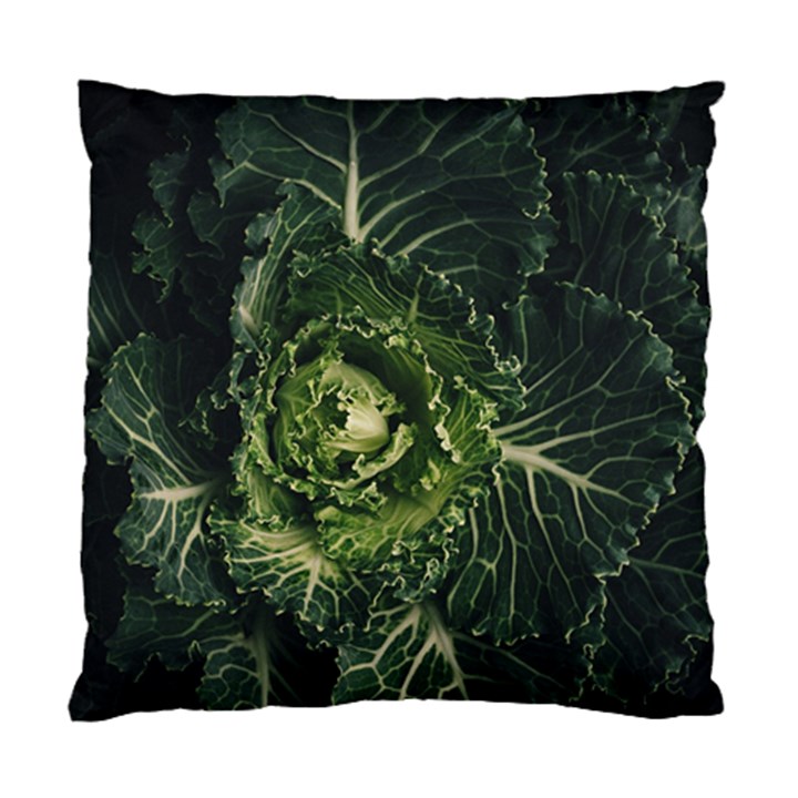 Plant Leaf Flower Green Produce Vegetable Botany Flora Cabbage Macro Photography Flowering Plant Standard Cushion Case (Two Sides)