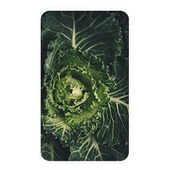 Plant Leaf Flower Green Produce Vegetable Botany Flora Cabbage Macro Photography Flowering Plant Memory Card Reader (rectangular) by Vaneshart