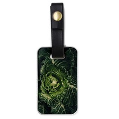 Plant Leaf Flower Green Produce Vegetable Botany Flora Cabbage Macro Photography Flowering Plant Luggage Tag (one Side) by Vaneshart