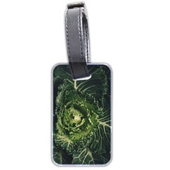 Plant Leaf Flower Green Produce Vegetable Botany Flora Cabbage Macro Photography Flowering Plant Luggage Tag (two Sides) by Vaneshart