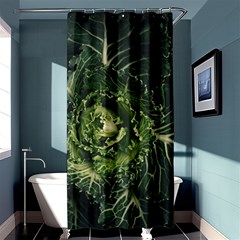 Plant Leaf Flower Green Produce Vegetable Botany Flora Cabbage Macro Photography Flowering Plant Shower Curtain 36  X 72  (stall)  by Vaneshart