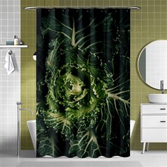 Plant Leaf Flower Green Produce Vegetable Botany Flora Cabbage Macro Photography Flowering Plant Shower Curtain 48  X 72  (small)  by Vaneshart