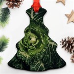 Plant Leaf Flower Green Produce Vegetable Botany Flora Cabbage Macro Photography Flowering Plant Ornament (Christmas Tree)  Front