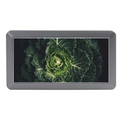 Plant Leaf Flower Green Produce Vegetable Botany Flora Cabbage Macro Photography Flowering Plant Memory Card Reader (mini) by Vaneshart