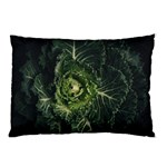 Plant Leaf Flower Green Produce Vegetable Botany Flora Cabbage Macro Photography Flowering Plant Pillow Case (Two Sides) Front