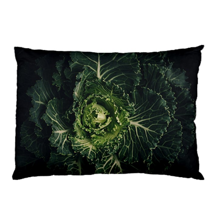 Plant Leaf Flower Green Produce Vegetable Botany Flora Cabbage Macro Photography Flowering Plant Pillow Case (Two Sides)