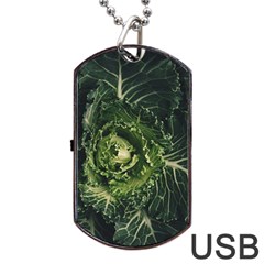 Plant Leaf Flower Green Produce Vegetable Botany Flora Cabbage Macro Photography Flowering Plant Dog Tag Usb Flash (two Sides) by Vaneshart