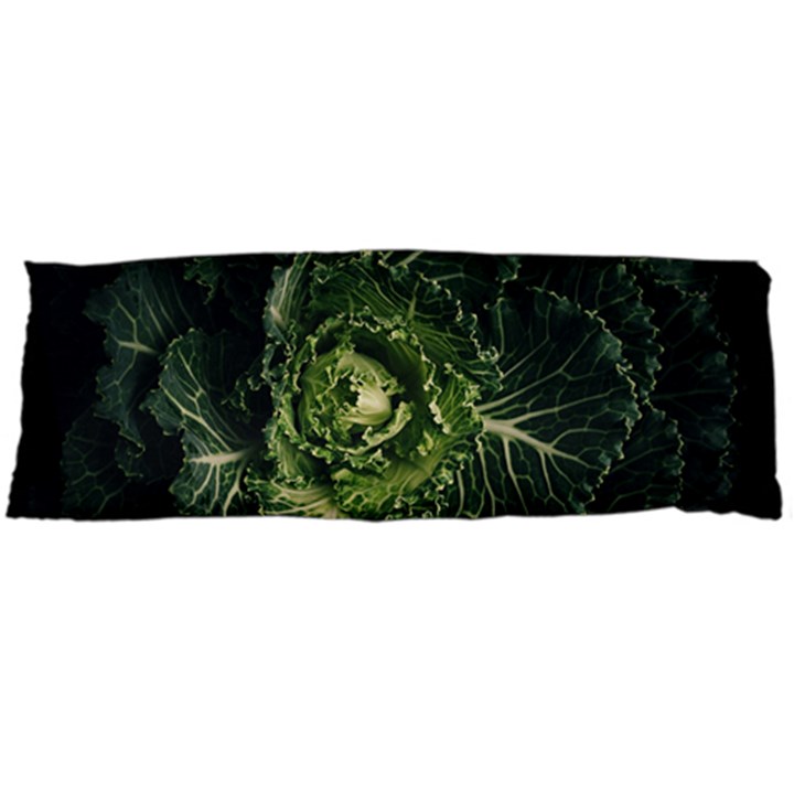 Plant Leaf Flower Green Produce Vegetable Botany Flora Cabbage Macro Photography Flowering Plant Body Pillow Case Dakimakura (Two Sides)