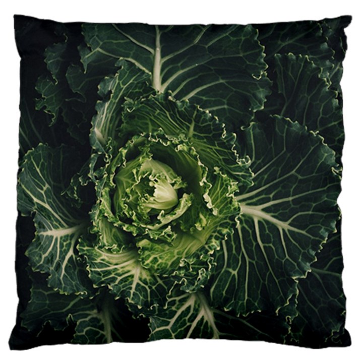 Plant Leaf Flower Green Produce Vegetable Botany Flora Cabbage Macro Photography Flowering Plant Large Cushion Case (One Side)