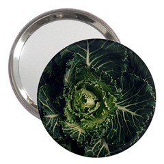 Plant Leaf Flower Green Produce Vegetable Botany Flora Cabbage Macro Photography Flowering Plant 3  Handbag Mirrors by Vaneshart