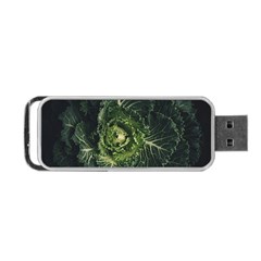 Plant Leaf Flower Green Produce Vegetable Botany Flora Cabbage Macro Photography Flowering Plant Portable Usb Flash (one Side) by Vaneshart