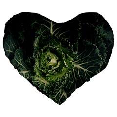 Plant Leaf Flower Green Produce Vegetable Botany Flora Cabbage Macro Photography Flowering Plant Large 19  Premium Heart Shape Cushions by Vaneshart