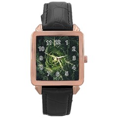 Plant Leaf Flower Green Produce Vegetable Botany Flora Cabbage Macro Photography Flowering Plant Rose Gold Leather Watch  by Vaneshart